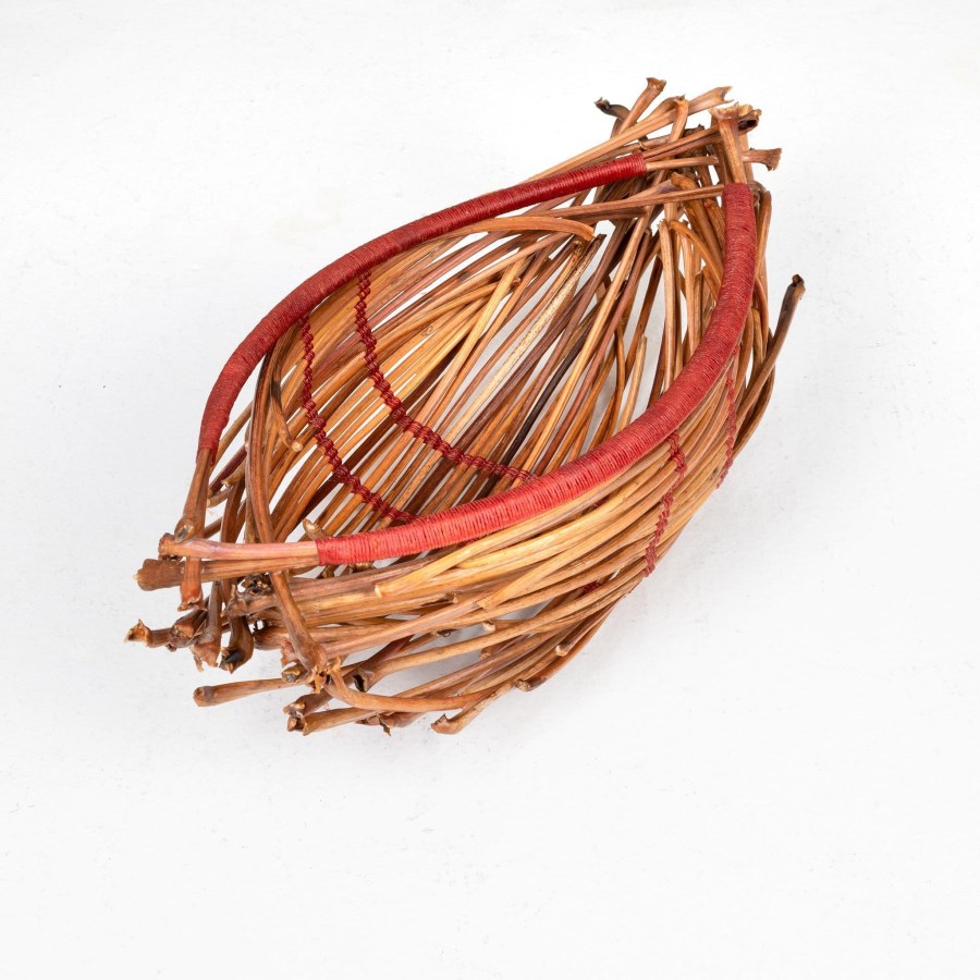 Petiole Vessel 1 - Christi York Petiole Vessel 1 - Christi York